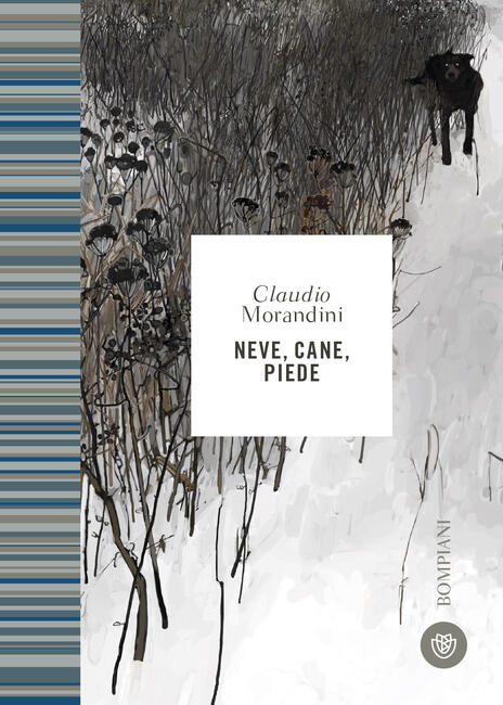 neve cane piede cover